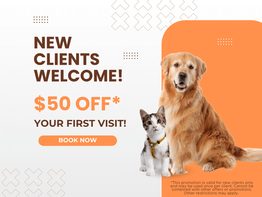 $50 off Graphics